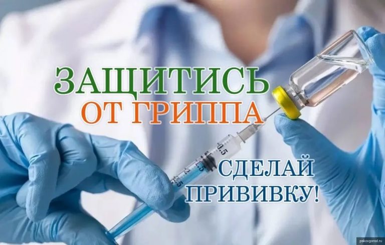 Источник инфекции