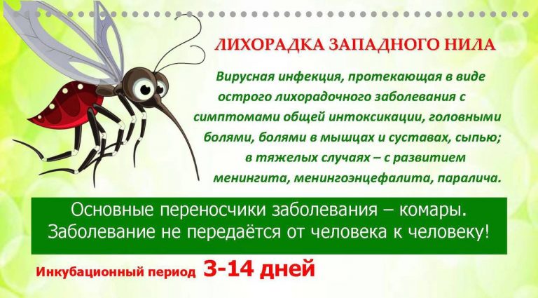 Чем опасна лихорадка Западного Нила и как передается человеку рассказали в Сунженской центральной районной больнице