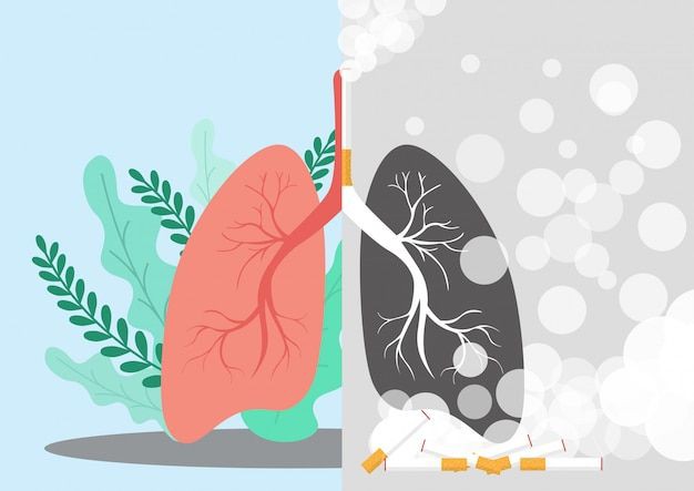 Иллюзия безопасности: Вся правда о вейпах, системах нагревания табака и электронных сигаретах